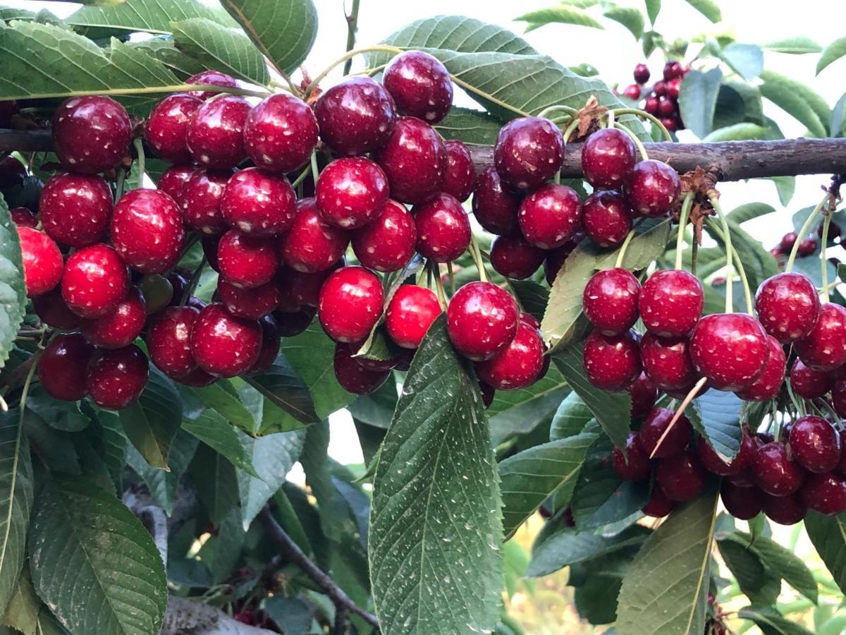 Finca La Foia El Pou Confrides Zewnętrze zdjęcie